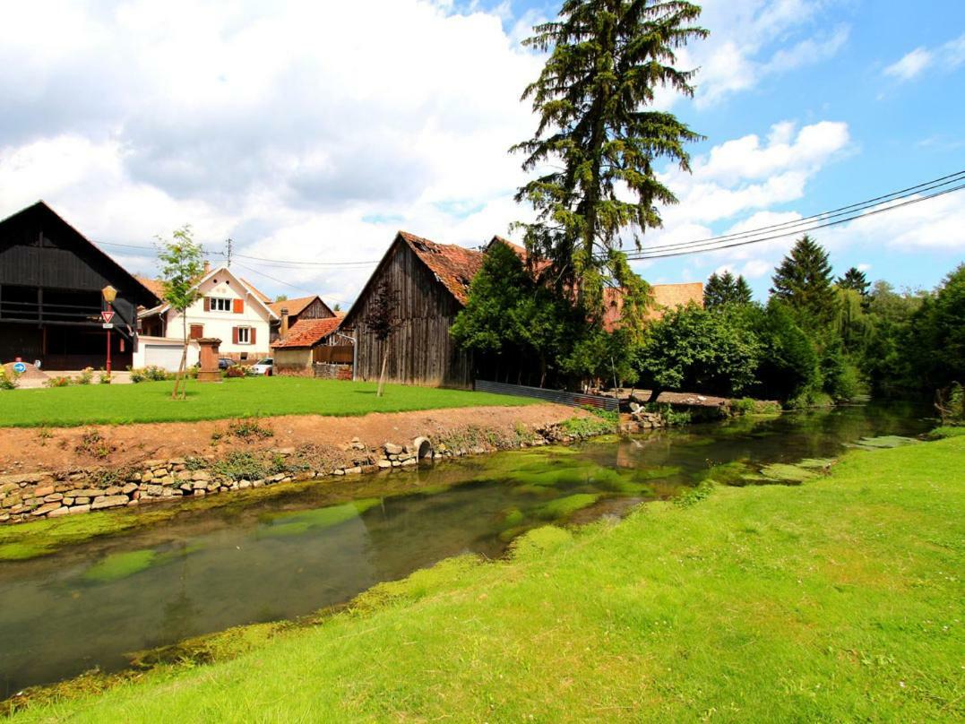 Beaux Lofts Pres D'Europa Park Et Strasbourg Villa Obenheim Dış mekan fotoğraf